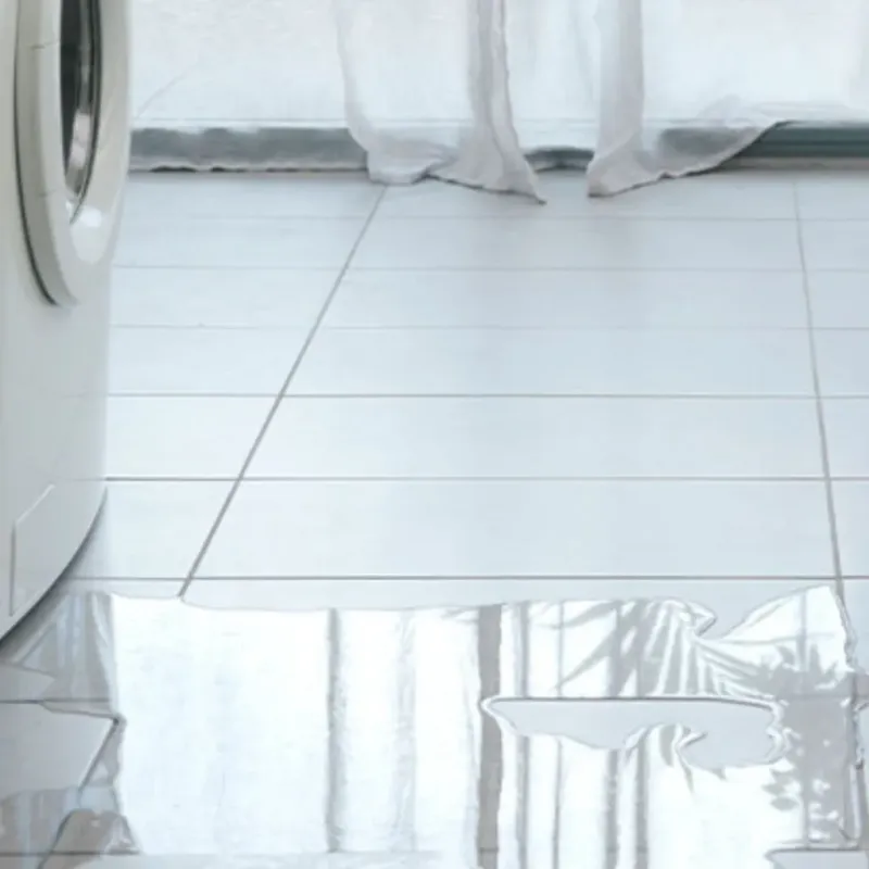 Appliance Leak Cleanup in Alturas, CA